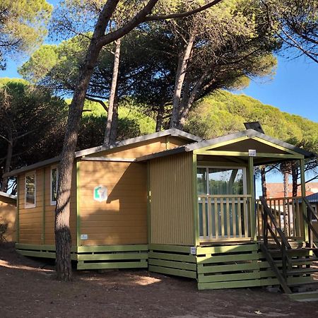 Camping La Tamarissiere آجد المظهر الخارجي الصورة