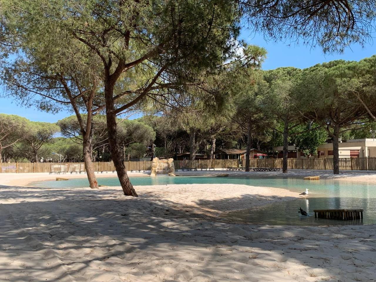 Camping La Tamarissiere آجد المظهر الخارجي الصورة